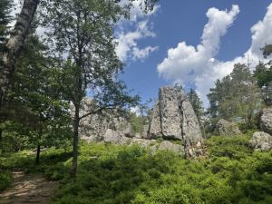 Pfahl Viechtach