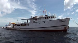 Cocos Island 2006